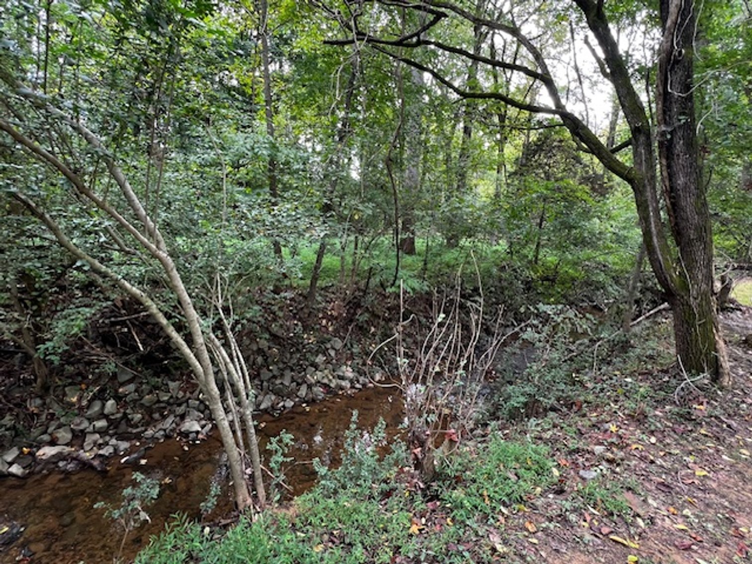 Image for 7220 Timber Ridge Drive, Mint Hill