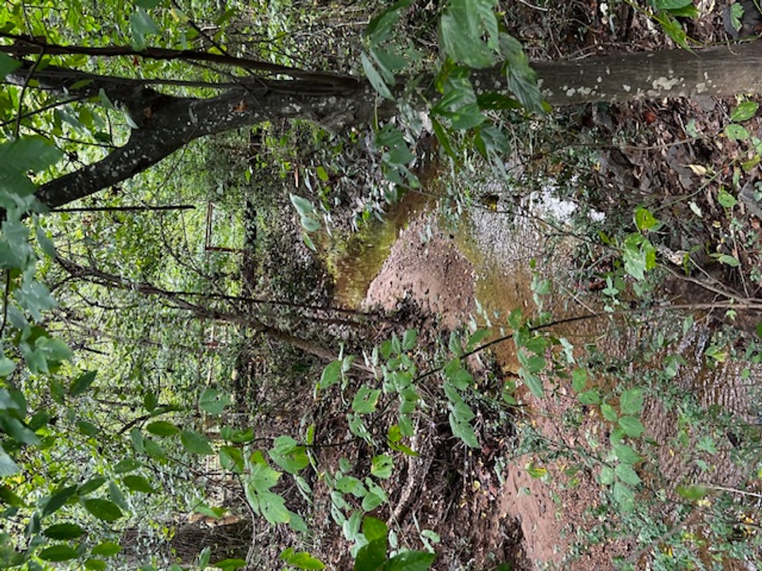 Image for 7220 Timber Ridge Drive, Mint Hill