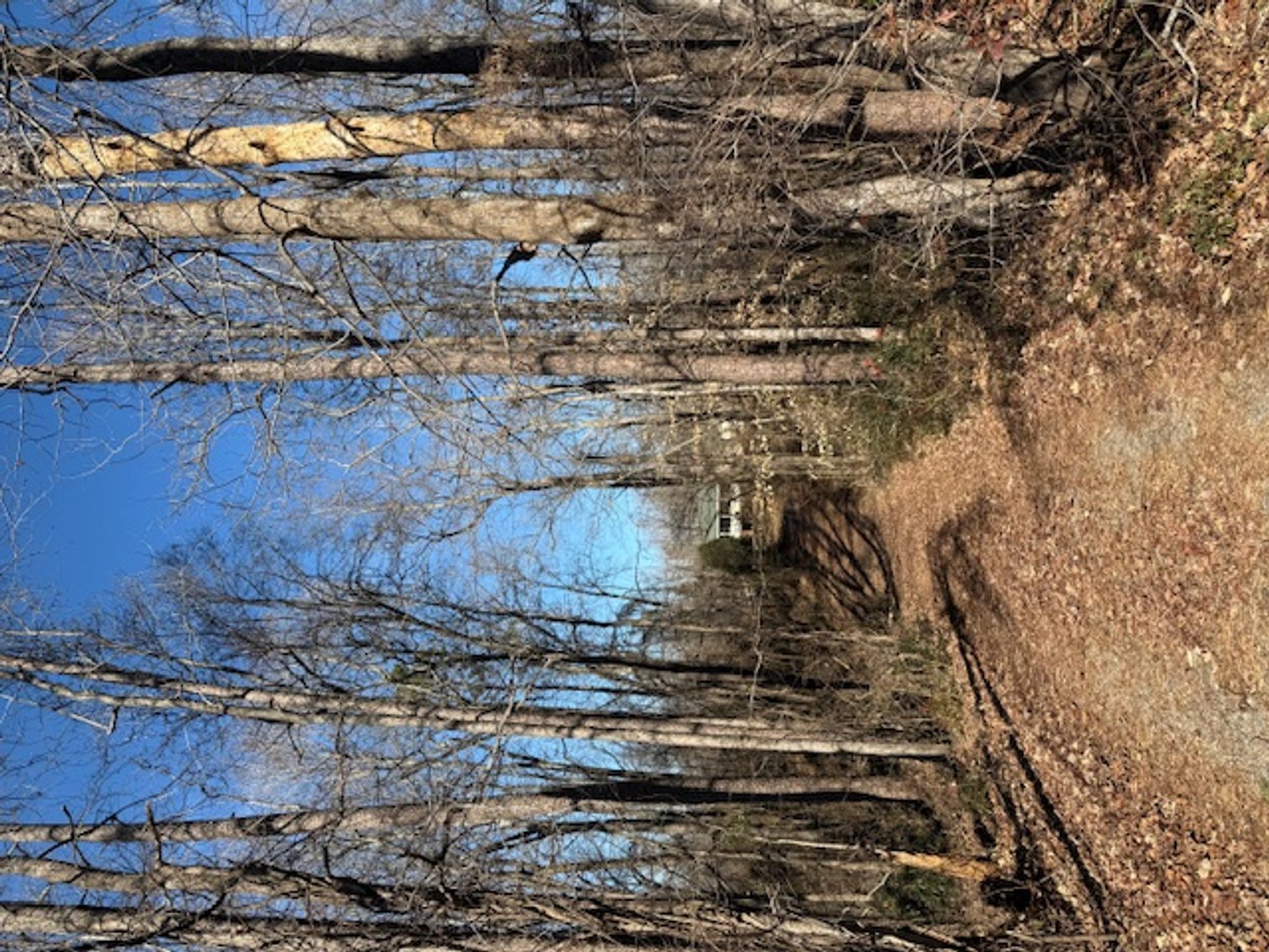 Image for 607 Anthony Grove Rd., Crouse- REAL ESTATE