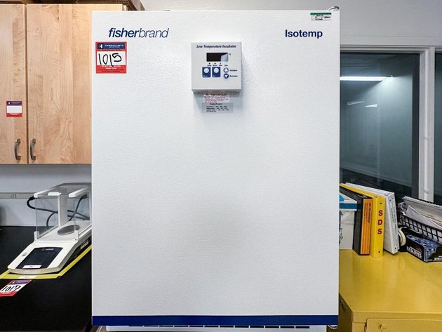 Image for MJK2363 Fisherbrand Isotemp Incubator