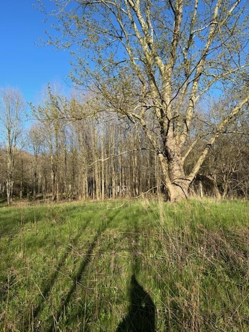 Image for 11919 Gowanda State Rd. North Collins, NY 14111