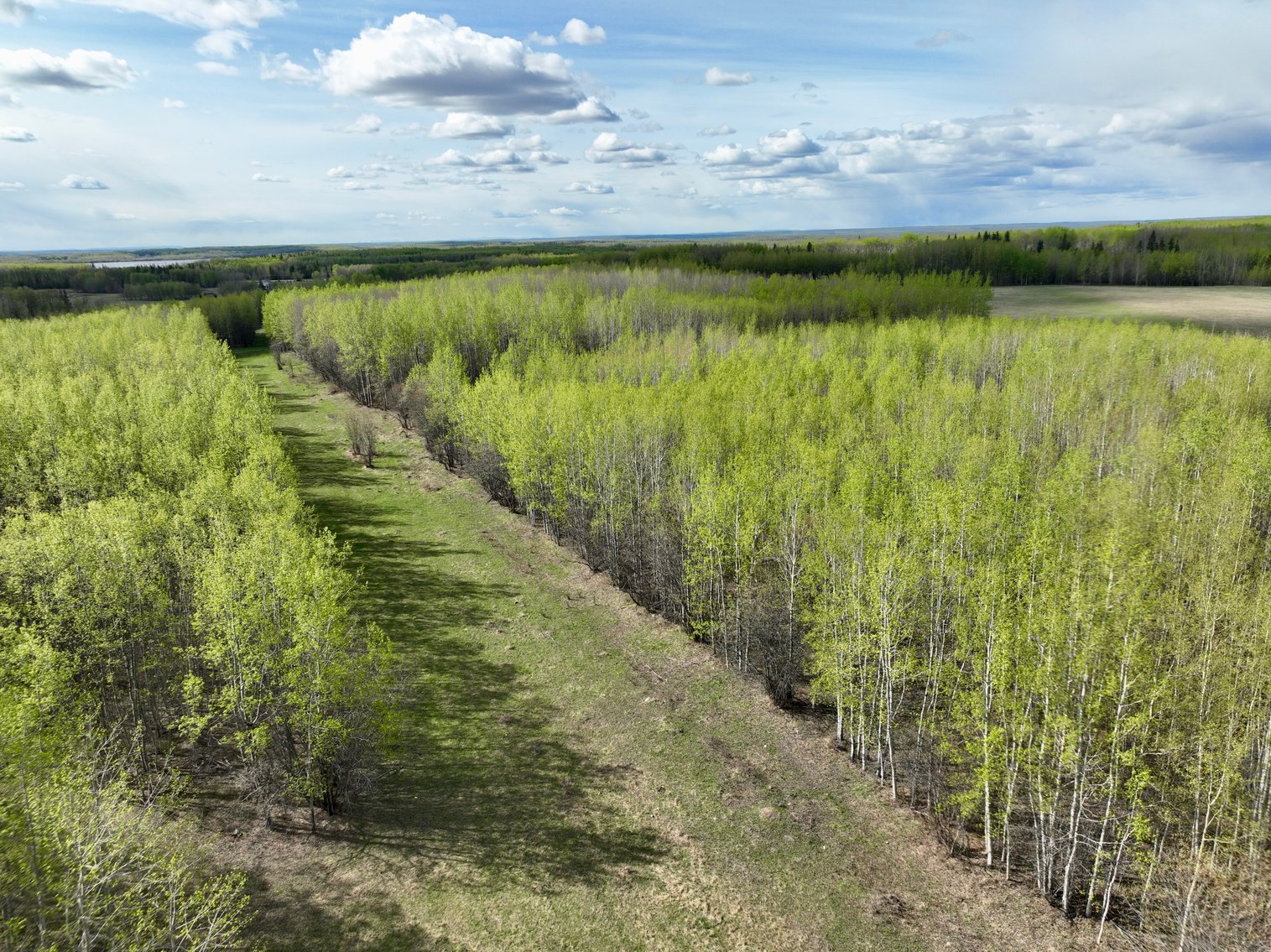 Image for SE-22-74-12-46 HYTHE