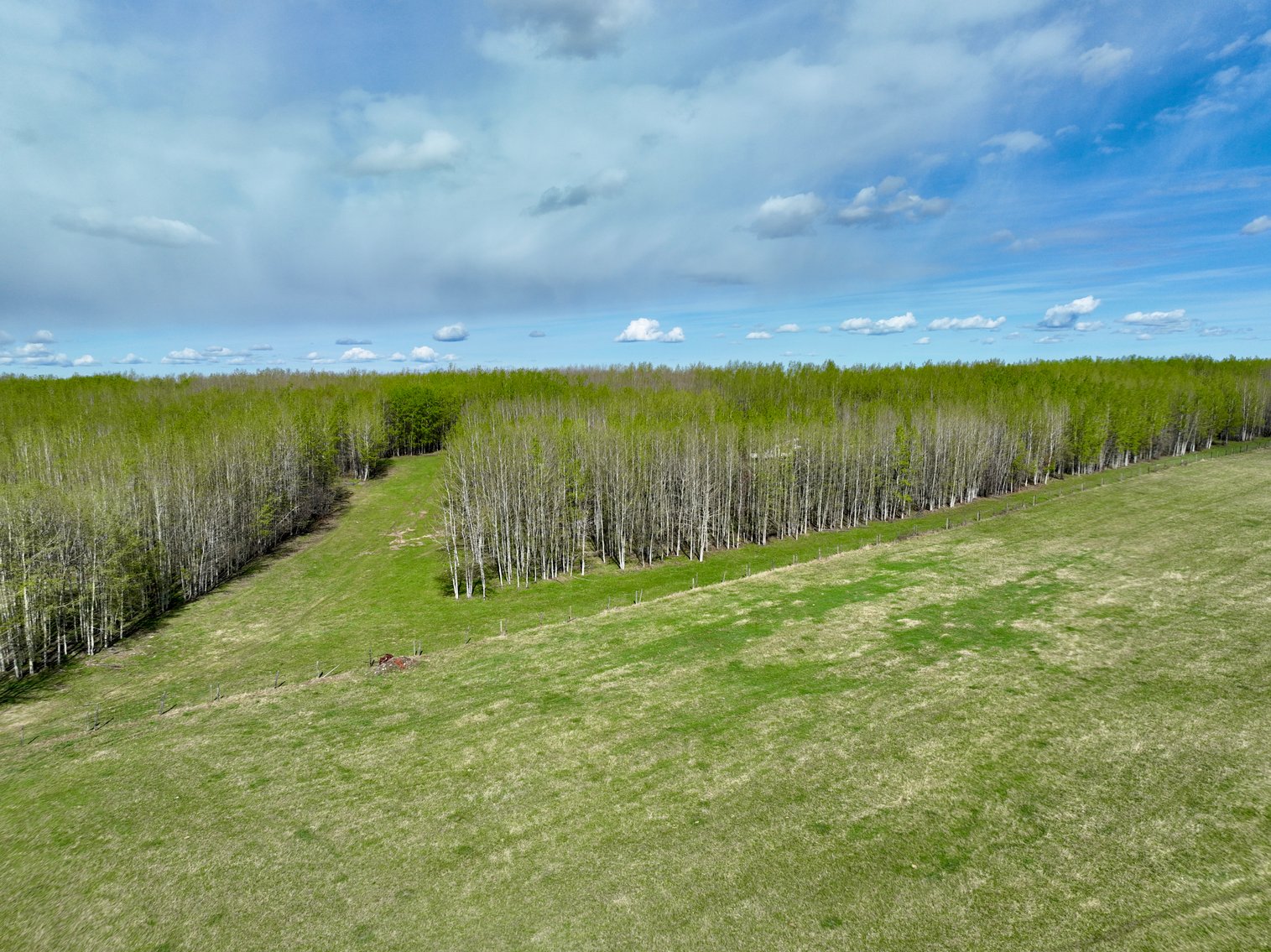 Image for SE-22-74-12-46 HYTHE