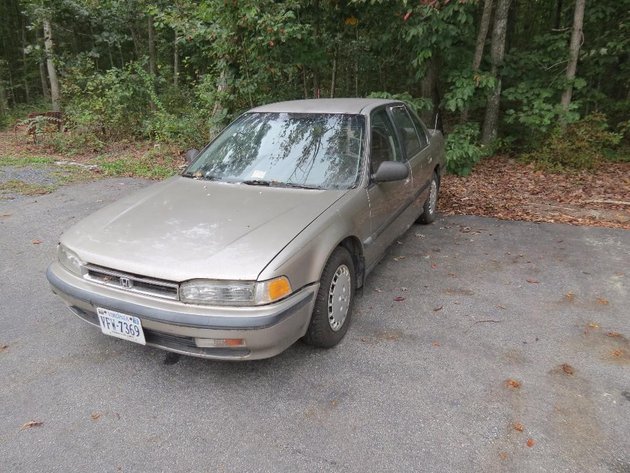 Image for Cold Springs Gallery