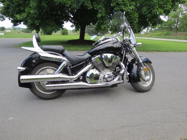 Image for Tinkling Springs Gallery - Pet store liquidation & more