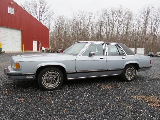 Image for Cold Springs Gallery