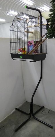 Image for Cold Springs Gallery