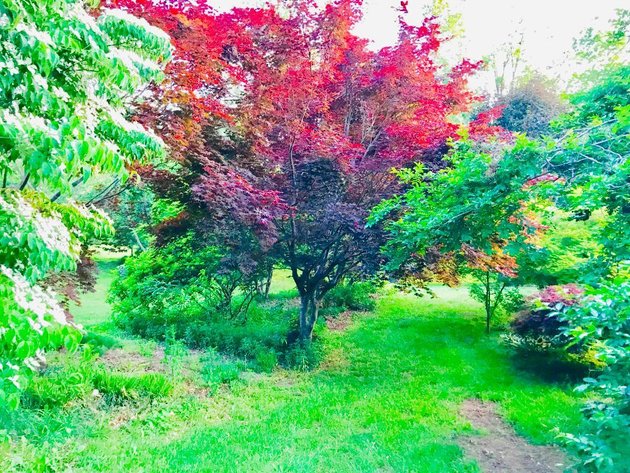 Image for Brick Home on 4.1 Acres