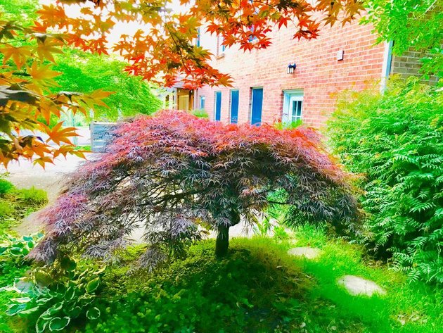 Image for Brick Home on 4.1 Acres