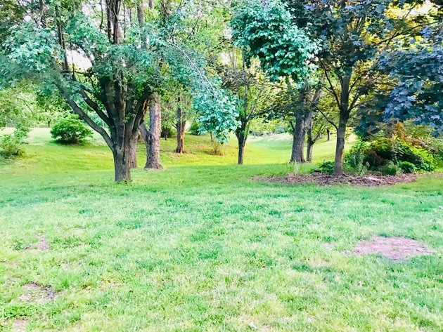 Image for Brick Home on 4.1 Acres