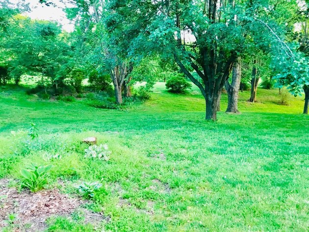 Image for Brick Home on 4.1 Acres