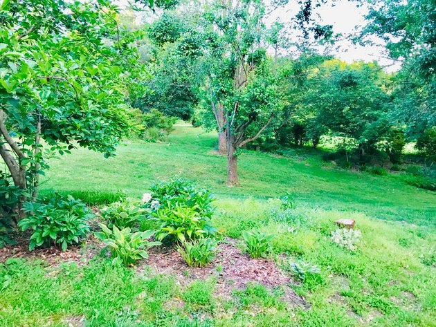 Image for Brick Home on 4.1 Acres