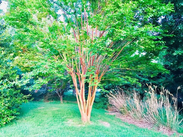 Image for Brick Home on 4.1 Acres