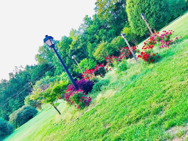 Image for Brick Home on 4.1 Acres