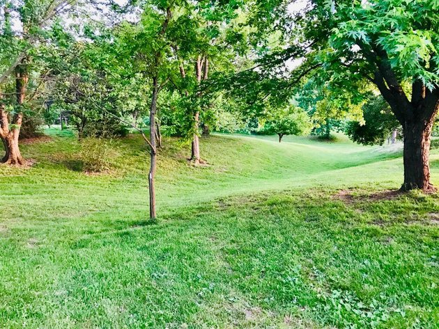 Image for Brick Home on 4.1 Acres