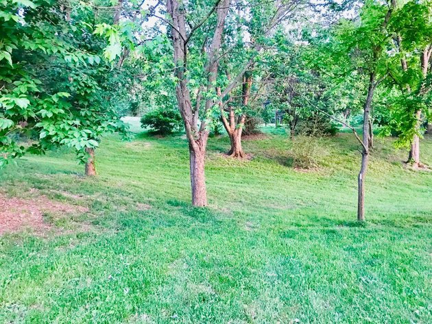 Image for Brick Home on 4.1 Acres