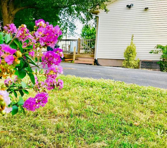 Image for 3 Bedroom Brick Home