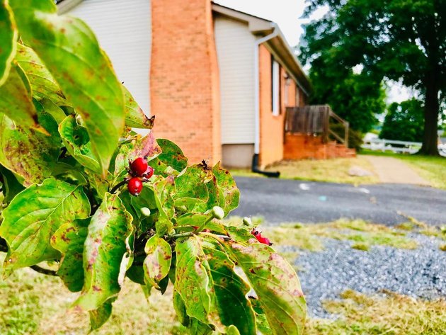 Image for 3 Bedroom Brick Home