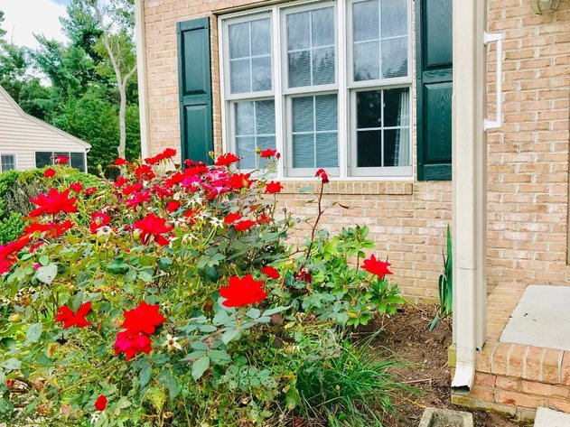 Image for 3 Bedroom 3 Bath Townhome