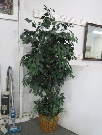 Image for Hidden Treasure Gallery