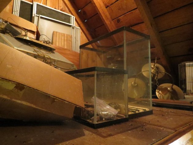 Image for Wholesale Shop Cleanout