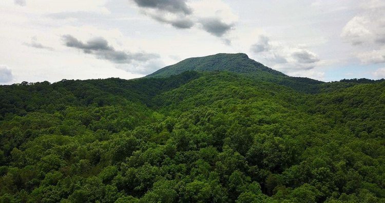 Image for 1900's Log Cabin w/ 35 acres