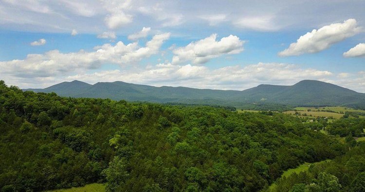 Image for 1900's Log Cabin w/ 35 acres