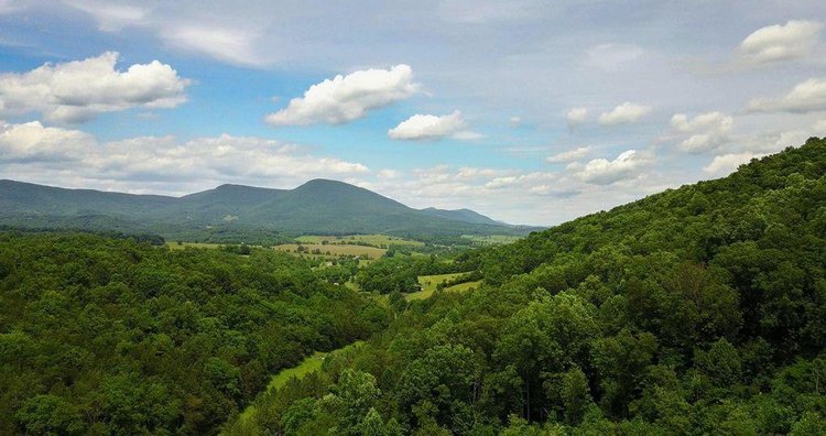 Image for 1900's Log Cabin w/ 35 acres