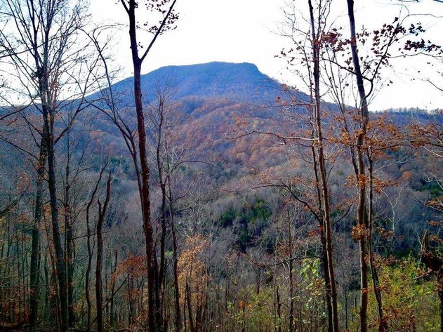 Image for 1900's Log Cabin w/ 35 acres