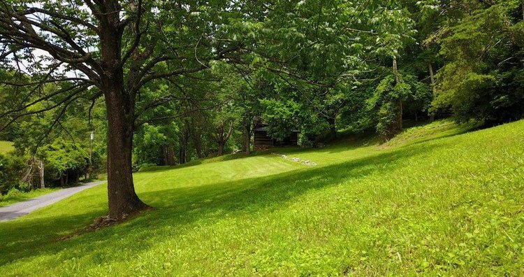 Image for 1900's Log Cabin w/ 35 acres