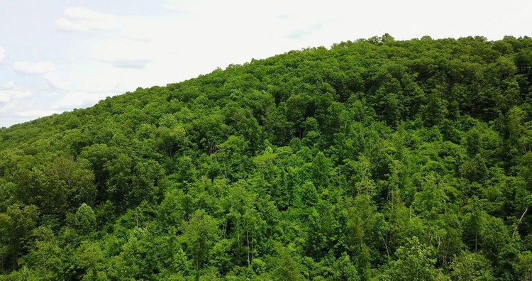 Image for 1900's Log Cabin w/ 35 acres