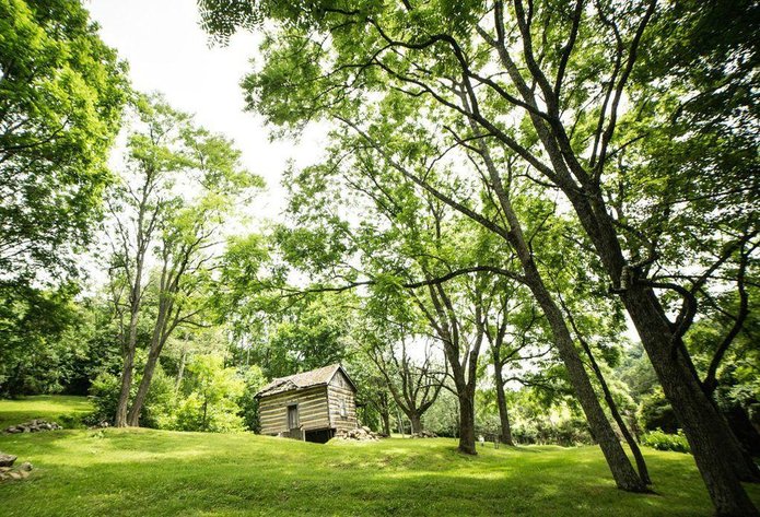 Image for 1900's Log Cabin w/ 35 acres
