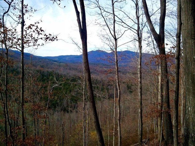 Image for 1900's Log Cabin w/ 35 acres
