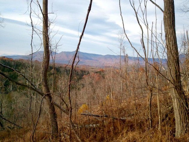 Image for 1900's Log Cabin w/ 35 acres