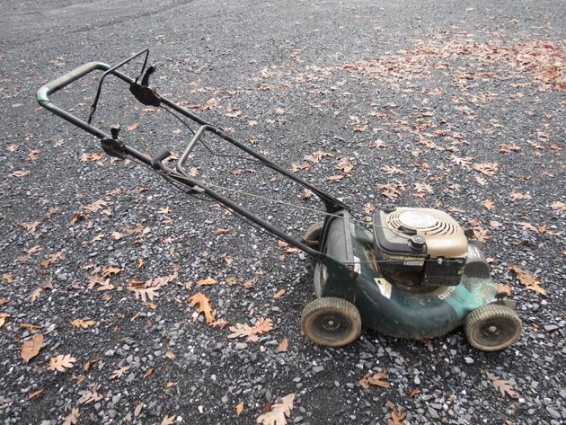 Image for Cold Springs Gallery