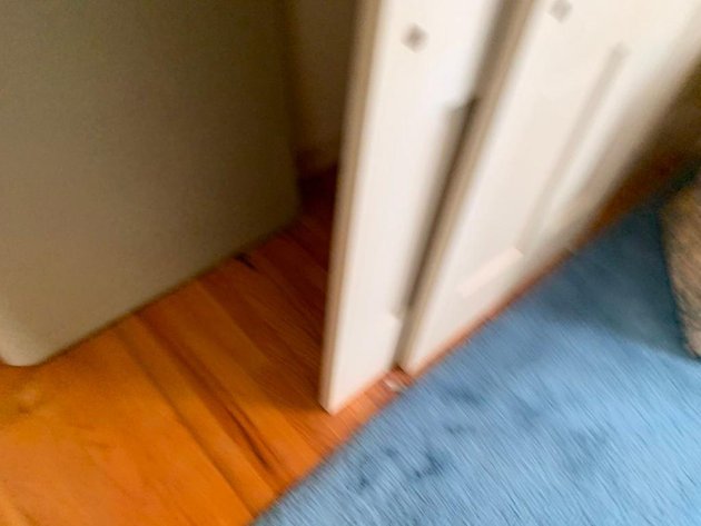 Image for Wholesale Auction, Charlottesville