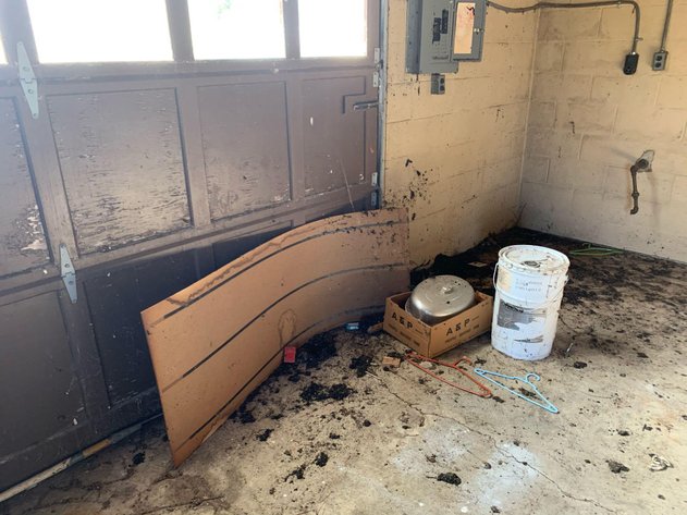 Image for Wholesale Auction, Fishersville