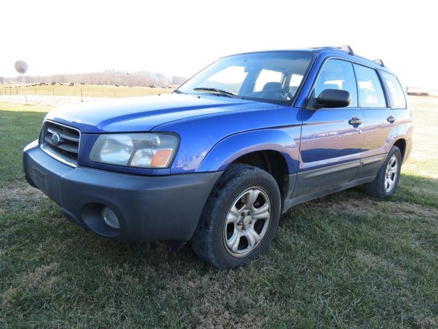 Image for Tinkling Springs Gallery