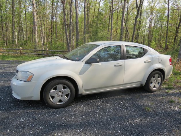 Image for Cold Springs Gallery