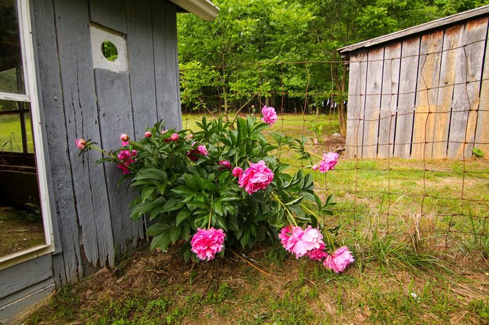 Image for Home on 2.3 Acres