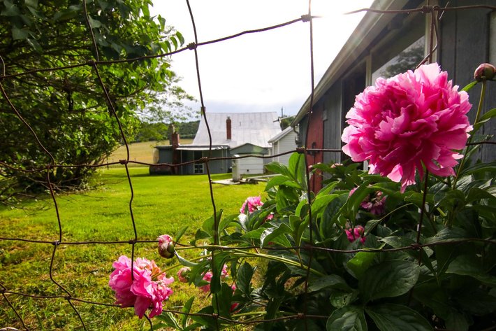 Image for Home on 2.3 Acres