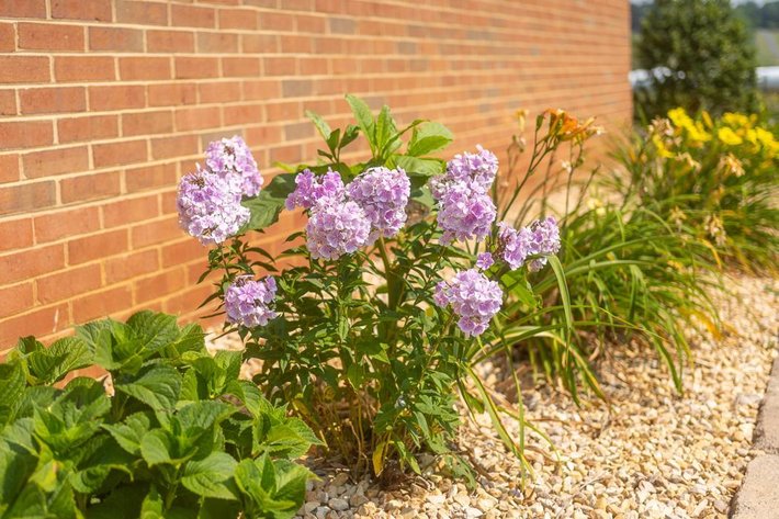 Image for 3 Bedroom Brick Home