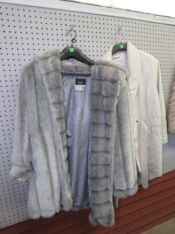 Image for The Cow Palace