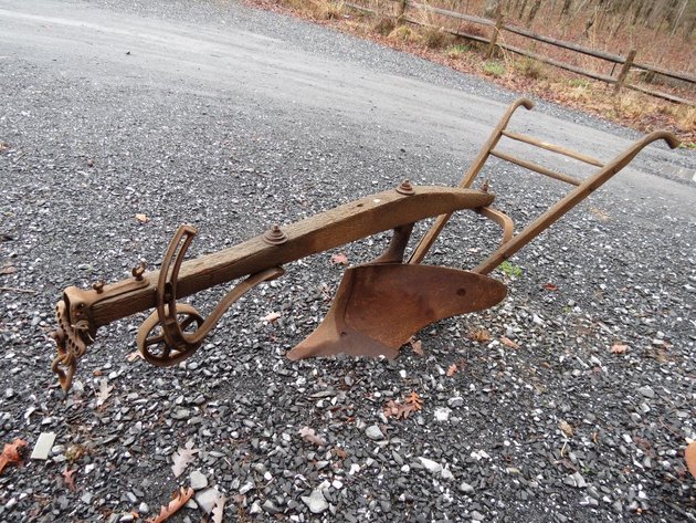 Image for Cold Springs Gallery