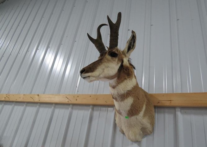 Image for Ammo & Knives