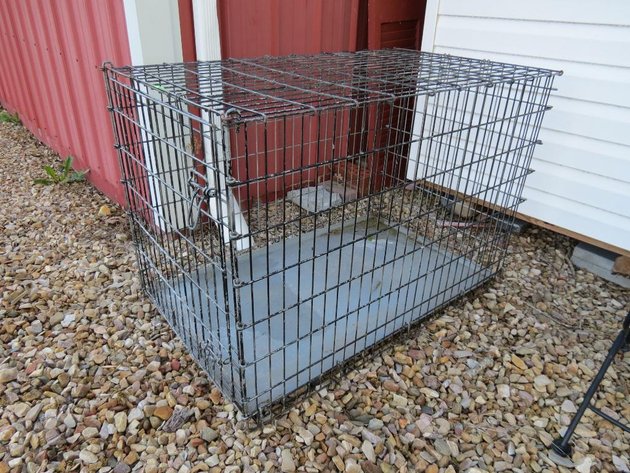 Image for Hidden Treasures Gallery