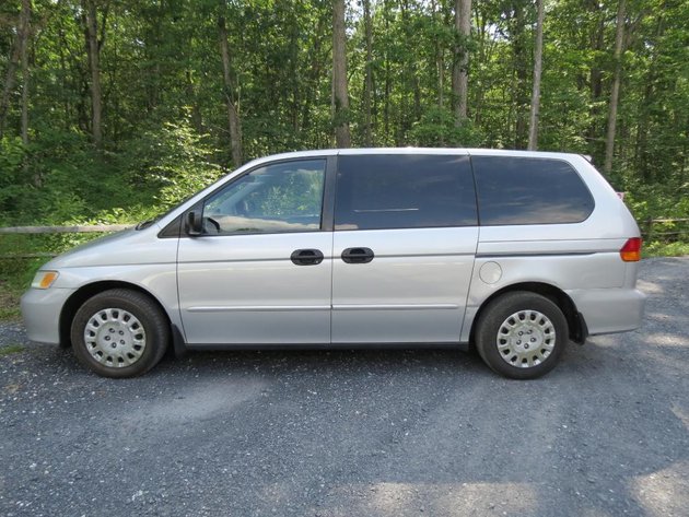 Image for Cold Springs Gallery