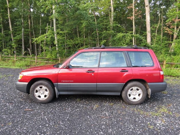 Image for Cold Springs Gallery