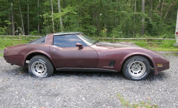 Image for Cold Springs Gallery