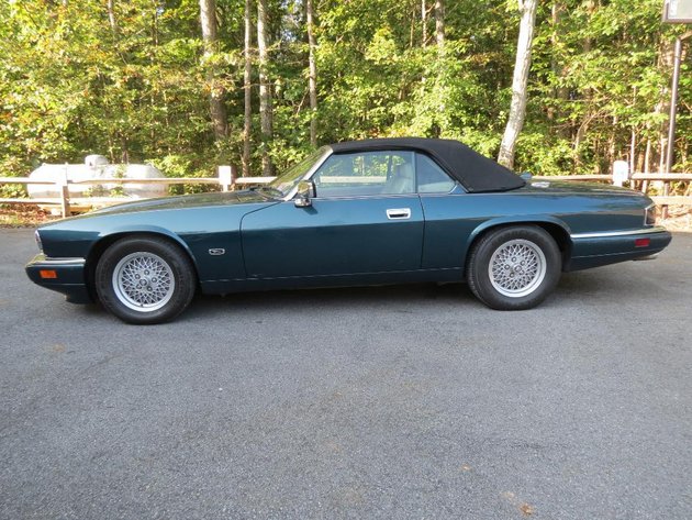 Image for Cold Springs Gallery